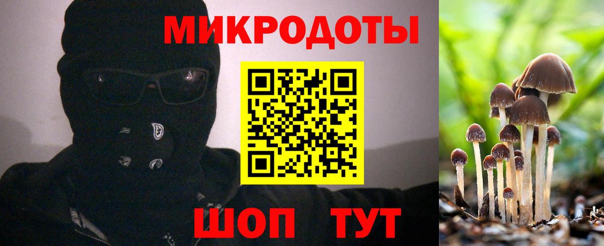 Галлюциногенные грибы ЛСД  Вход с VPN  Дербент  Псилоцибиновые грибы Psilocybe 